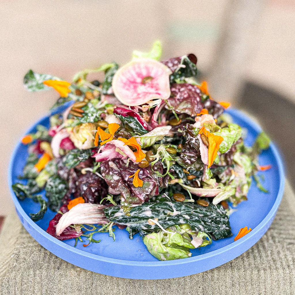 Yoga Pants Salad – Satellite SB