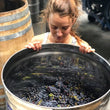 Load image into Gallery viewer, Emme Wines - 'enhorabuena' - Carignan - Redwood Valley, Mendocino, CA - 2021
