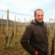 Load image into Gallery viewer, Ronco Severo - Ribolla Gialla - Colli Friulano, Friuli-Venezia Giulia, IT - 2020
