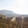 Load image into Gallery viewer, Holger Koch - 'Ja Goutte! ' - Pinot Gris Blend - Baden, Swabia, DE - 2022
