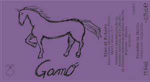 Conestabile della Staffa - 'GamO' - Gamay del Trasimeno - Umbria, IT - 2021