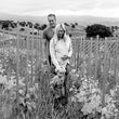 Load image into Gallery viewer, Stolpman So Fresh - 'GGT' - Grenache, Gamay, Trousseau - Estate Vineyard, Ballard Canyon, CA - 2021
