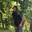 Load image into Gallery viewer, Zanon - 'Col Fondo' - Glera - Valdobbiadene, Veneto, IT - 2021
