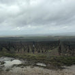 Load image into Gallery viewer, Hervé Rafflin - 'La Nature'L - 1er Cru Extra Brut' - Champagne - Montagne de Reims, FR - NV
