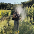 Load image into Gallery viewer, Gassner - 'Reserve' - Blauer Zweigelt - Rusterberg, Burgenland, AT - 2015
