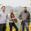 Load image into Gallery viewer, Poderi Colla - 'Pian Balbo' - Dolcetto - Piemonte, IT - 2021
