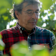 Load image into Gallery viewer, Marchesi di Ravarino - 'Carluccio' - Lambrusco di Sorbara - Emilia Romagna, IT - 2019
