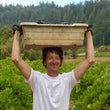 Load image into Gallery viewer, Old World Winery - 'l'Aureate' - Chardonnay - Russian River Valley, Sonoma, CA - 2022
