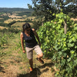 Load image into Gallery viewer, La Maliosa - 'Saturnia Bianco' - Procanico, Trebbiano - Tuscany, IT - 2019
