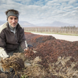 Load image into Gallery viewer, Domaine Christophe Mittnacht - 'Crémant Blanc - Extra Brut' - Alsatian Field Blend - Alsace, FR - 2018

