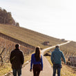 Load image into Gallery viewer, Super Glou x Leon Gold - 'Pink Gold' - Trollinger - Württemberg, DE - 2021

