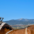 Load image into Gallery viewer, Mas Conscience - 'la Petite Prise de...' - Syrah, Grenache - Languedoc, CA - 2018
