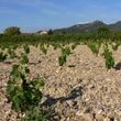 Load image into Gallery viewer, Les Amouriers - 'Signature' - GSM - Vacqueyras Rouge, Rhône, FR - 2018
