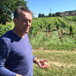 Load image into Gallery viewer, Bernard Vallette - 'Quatre Saisons' - Gamay - Lachassagne, Beaujolais, FR - 2019
