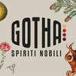 Load image into Gallery viewer, Gotha - 'DRAI' - Vermouth - Emilia Romagna, IT - NV
