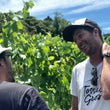 Load image into Gallery viewer, Kindeli - 'Tinto' - Red Field Blend - Upper Moutere, NZ - 2021
