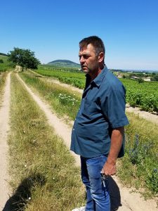 Jean-Claude Lapalu - 'Vielle Vignes' - Gamay - Beaujolais-Villages AOP, FR - 2022