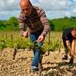 Load image into Gallery viewer, Bondle x Domaine du Bourg d'Oisseau - Chenin Blanc - Loire Valley, FR - 2021 - 1500ml
