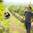 Load image into Gallery viewer, Gruber Röschitz - 'Weinviertel' - Pinot Noir - AT - 2021
